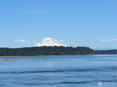 Photo of 2838 Steamboat Island Loop NW, Olympia, WA 98502 (MLS # 2577892)