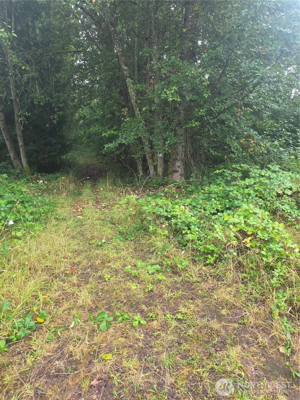 Photo of 515 Remington Drive, South Prairie, WA 98385 (MLS # 2578629)