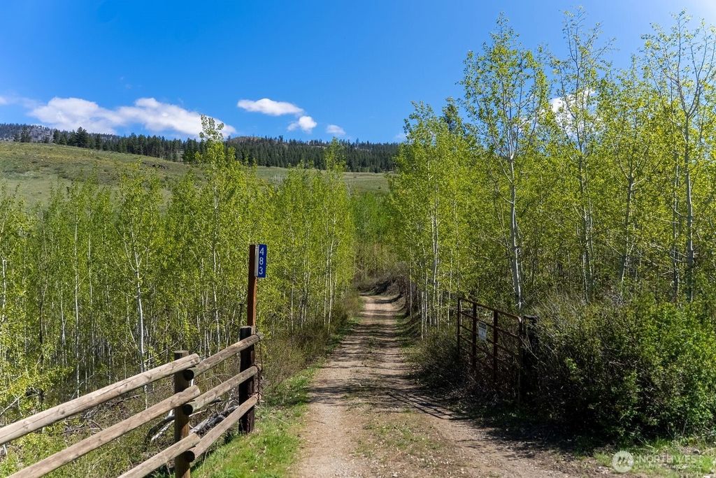 Photo of 483 Texas Creek Road, Carlton, WA 98814 (MLS # 2511013)