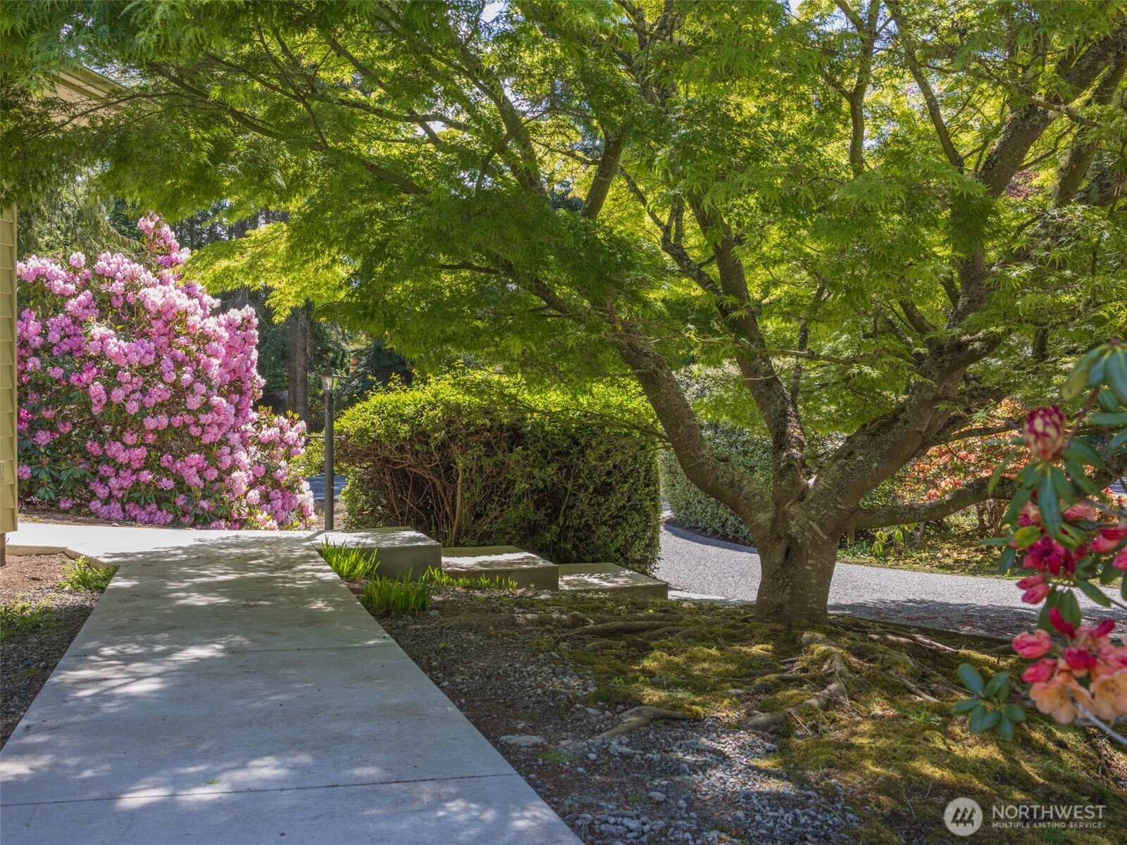 137 Harleman Drive