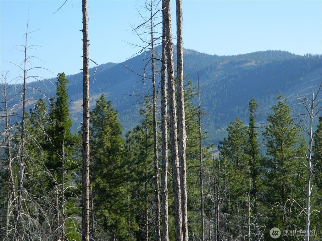 Photo of 0 TBD Stage Coach Trail, Riverside, WA 98849 (MLS # 2481069)