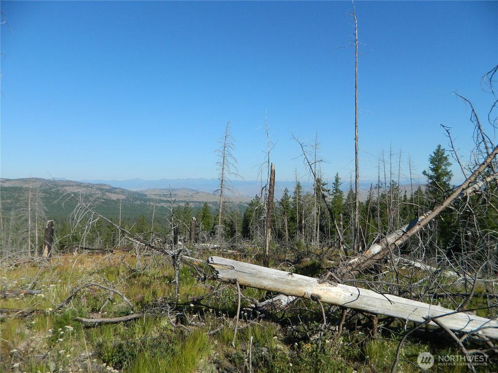 Photo of 0 TBD Stage Coach Trail, Riverside, WA 98849 (MLS # 2481069)