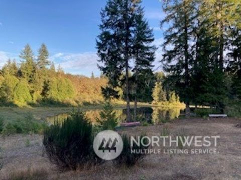 Photo of 5641 N Jorsted Creek Road, Hoodsport, WA 98548 (MLS # 2020362)