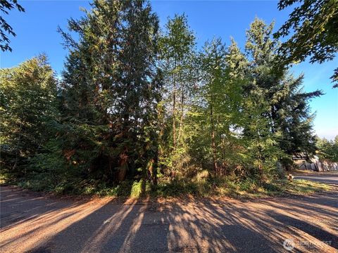 Photo of 17745 SE Vine Lane, Yelm, WA 98597 (MLS # 2441187)