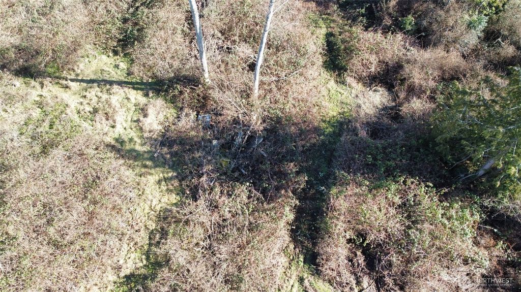 Photo of 1210 Irondale Road, Port Hadlock, WA 98339 (MLS # 2489898)