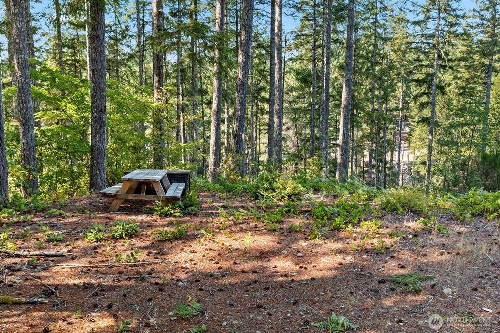 Photo of 261 NE Circle Drive, Tahuya, WA 98588 (MLS # 2568000)