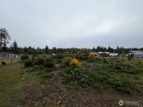 Photo of 29880 T Lane, Ocean Park, WA 98640 (MLS # 2529530)
