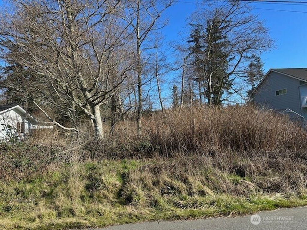 Photo of 0 Pinecrest Avenue, Coupeville, WA 98239 (MLS # 2480402)