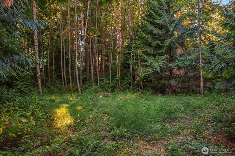 107 133rd Street SW Vashon WA 98070