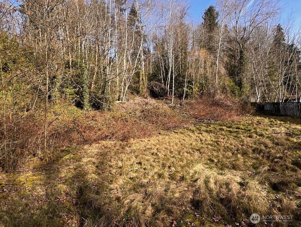 Photo of 2304 NE 100th St St, Seattle, WA 98125 (MLS # 2490928)