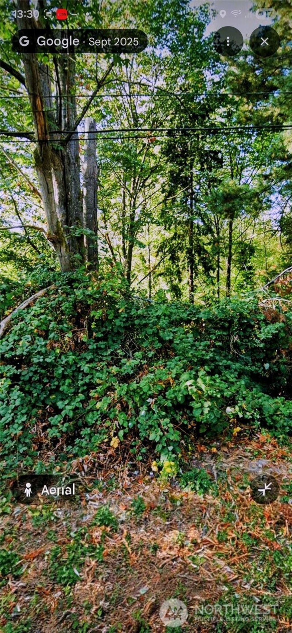 Photo of 2304 NE 100th St St, Seattle, WA 98125 (MLS # 2490928)