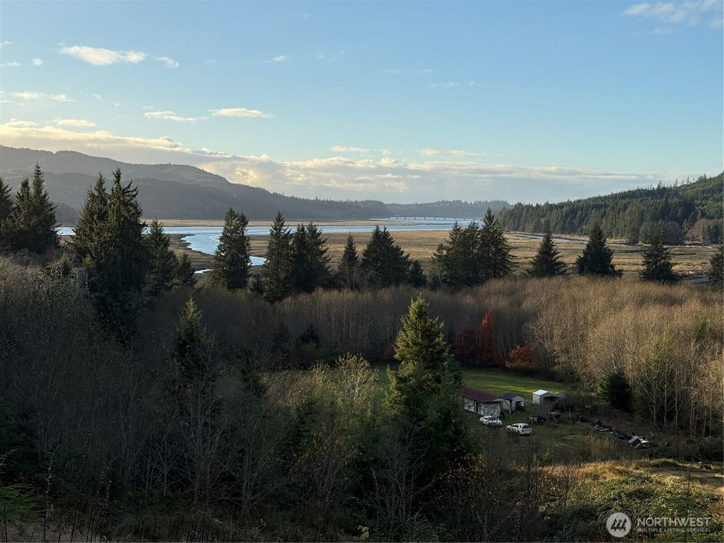 Photo of 92 Dionne Lane, Naselle, WA 98638 (MLS # 2457886)