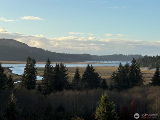 92 DIONNE LN, SOUTH BEND, WA 98586 - Image dbd536e7bbe804d654a15d2bb3c9829a/3775015784