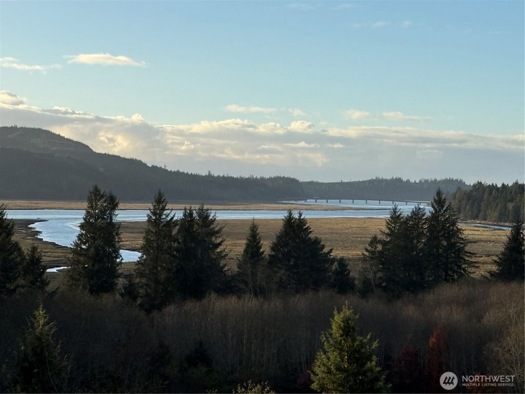 Photo of 92 Dionne Lane, Naselle, WA 98638 (MLS # 2457886)