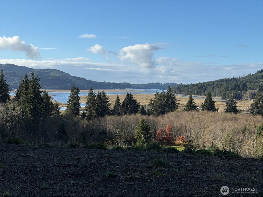 Photo of 92 Dionne Lane, Naselle, WA 98638 (MLS # 2457886)