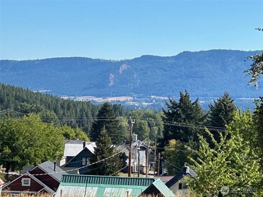 203 E NEVADA AVE, ROSLYN, WA 98941 - Image dbffbd6ad6816290f320ab6c95ae01d9/3407129657