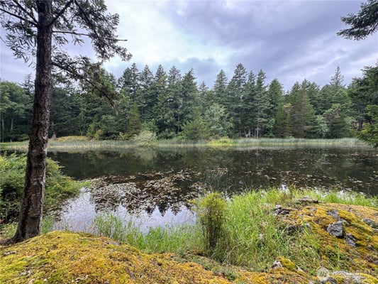 230 SERENDIPITY LN, DEER HARBOR, WA 98243 - Image dc02c08e889b218ef06f8a76fde95c41/3675067075