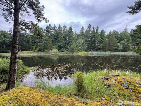 Photo of 230 Serendipity Lane, Orcas Island, WA 98243 (MLS # 2549843)