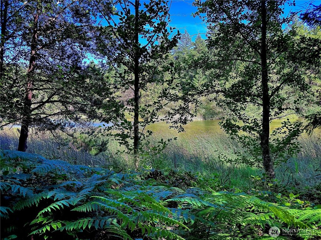 Photo of 230 Serendipity Lane, Orcas Island, WA 98243 (MLS # 2549843)