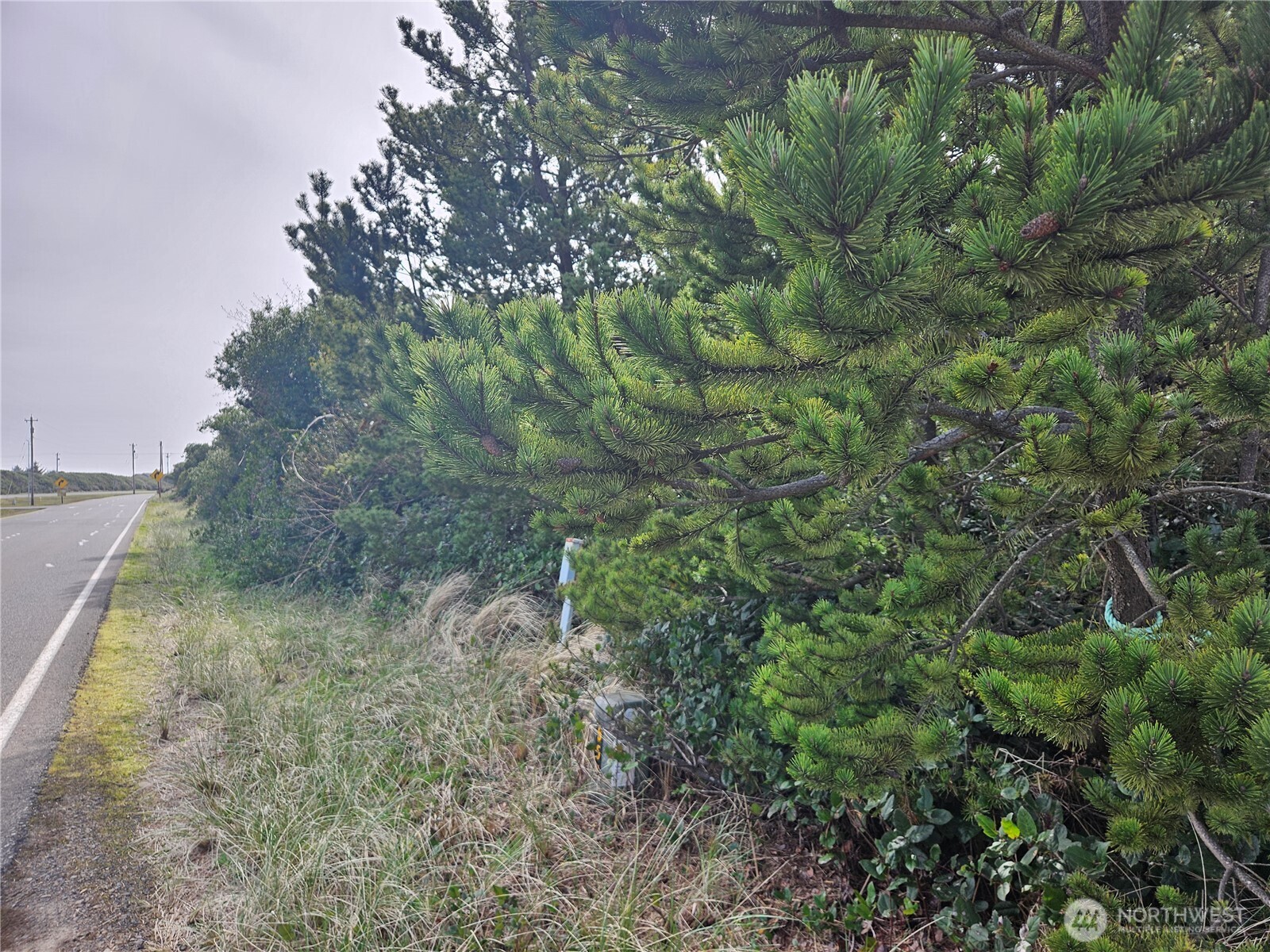 943 Ocean Shores Boulevard SW
