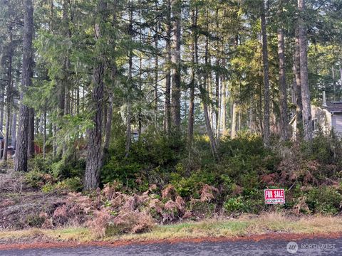 40 E Paint Brush Lane Union WA 98592