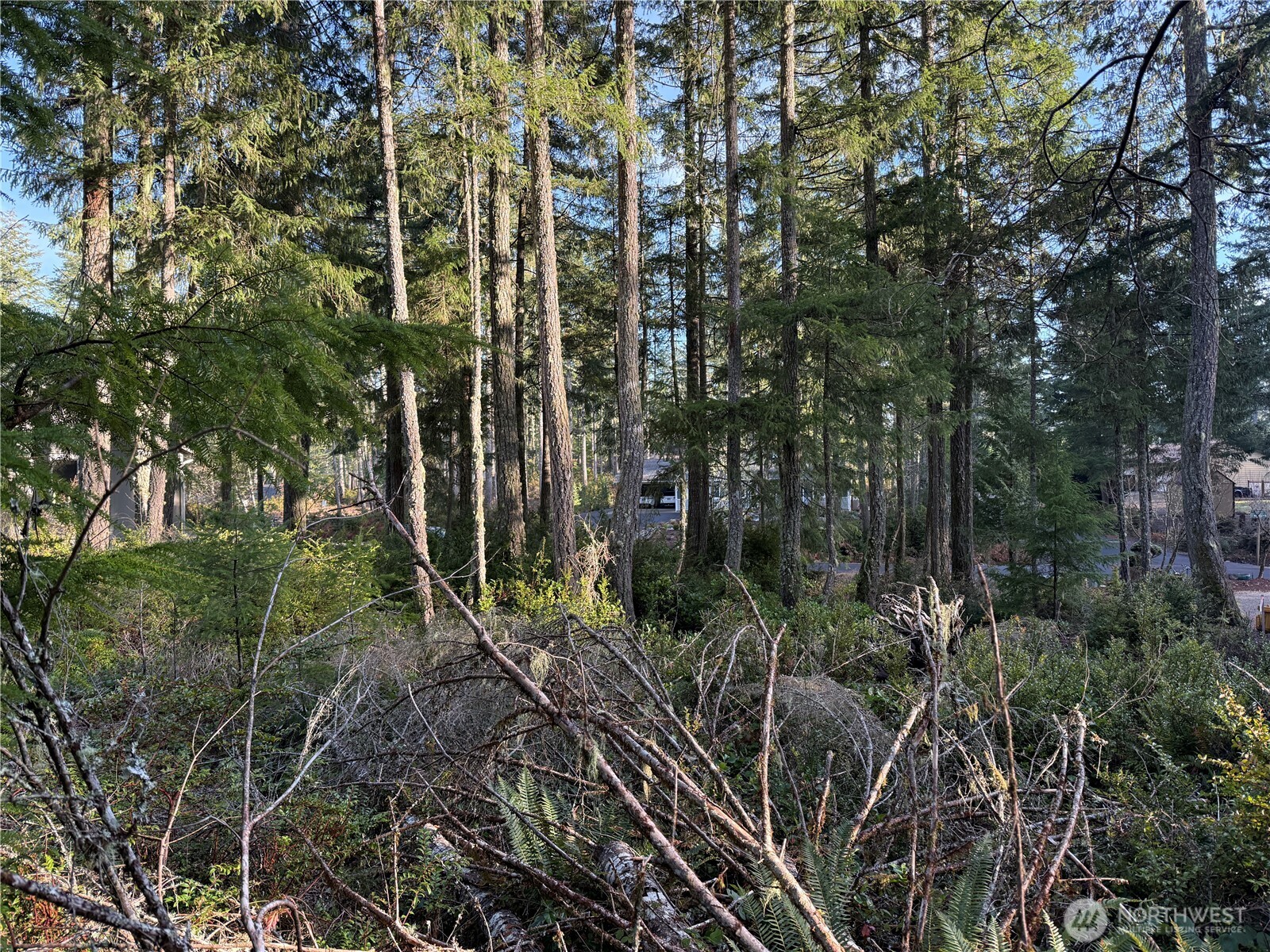 40 E Paint Brush Lane