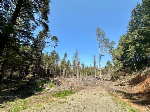 Photo of 0 40th Street, Seaview, WA 98644 (MLS # 2359515)