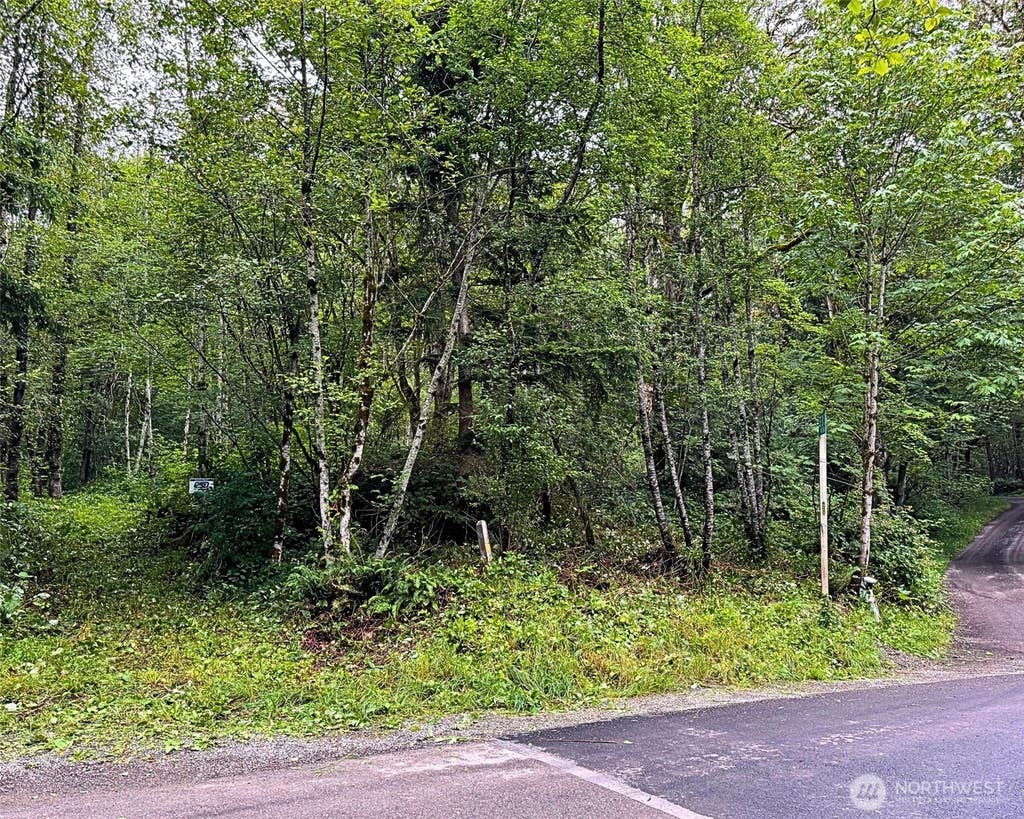 Photo of 355 XX SE Courtney Road, Ravensdale, WA 98051 (MLS # 2562834)