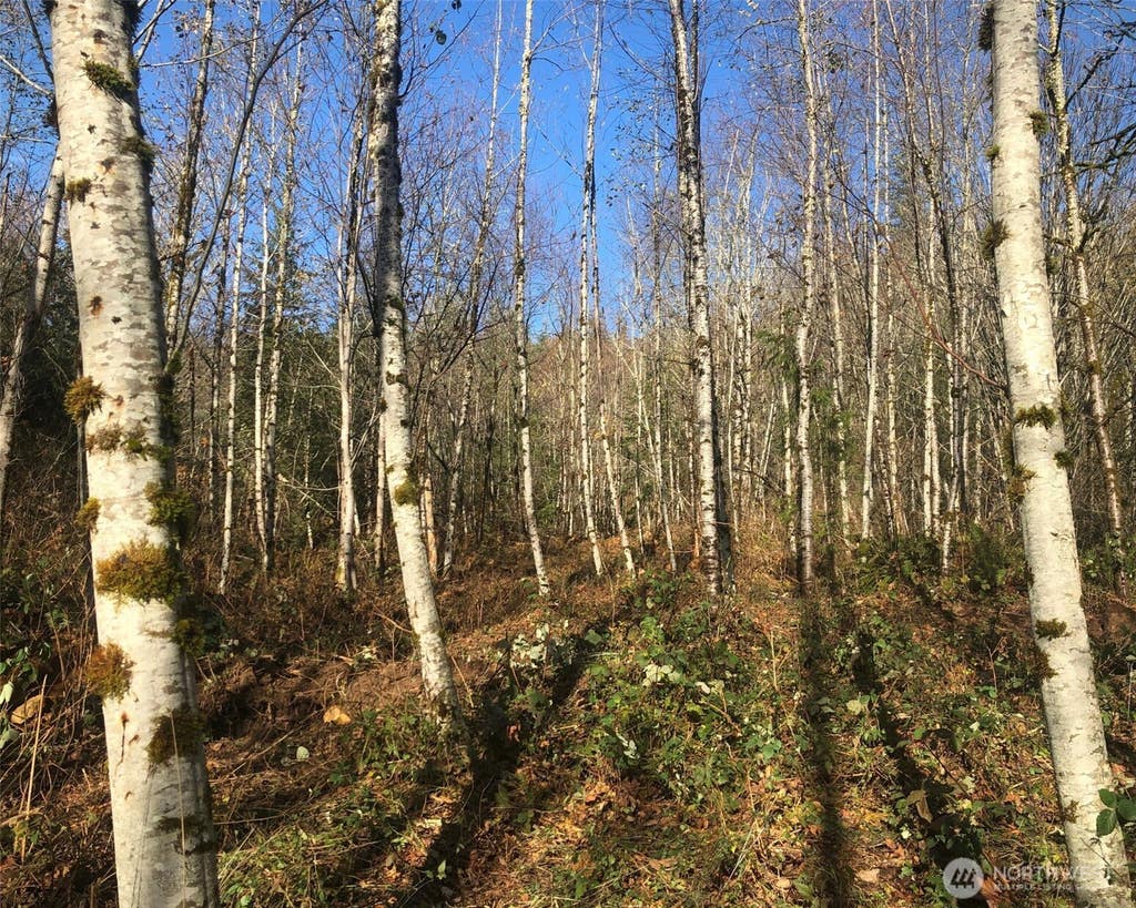Photo of 355 XX SE Courtney Road, Ravensdale, WA 98051 (MLS # 2562834)