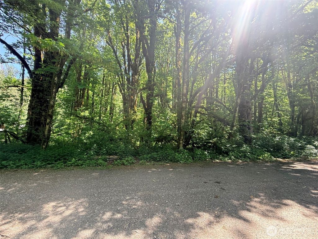 Photo of 10204 Foss River Place NE, Skykomish, WA 98288 (MLS # 2530255)