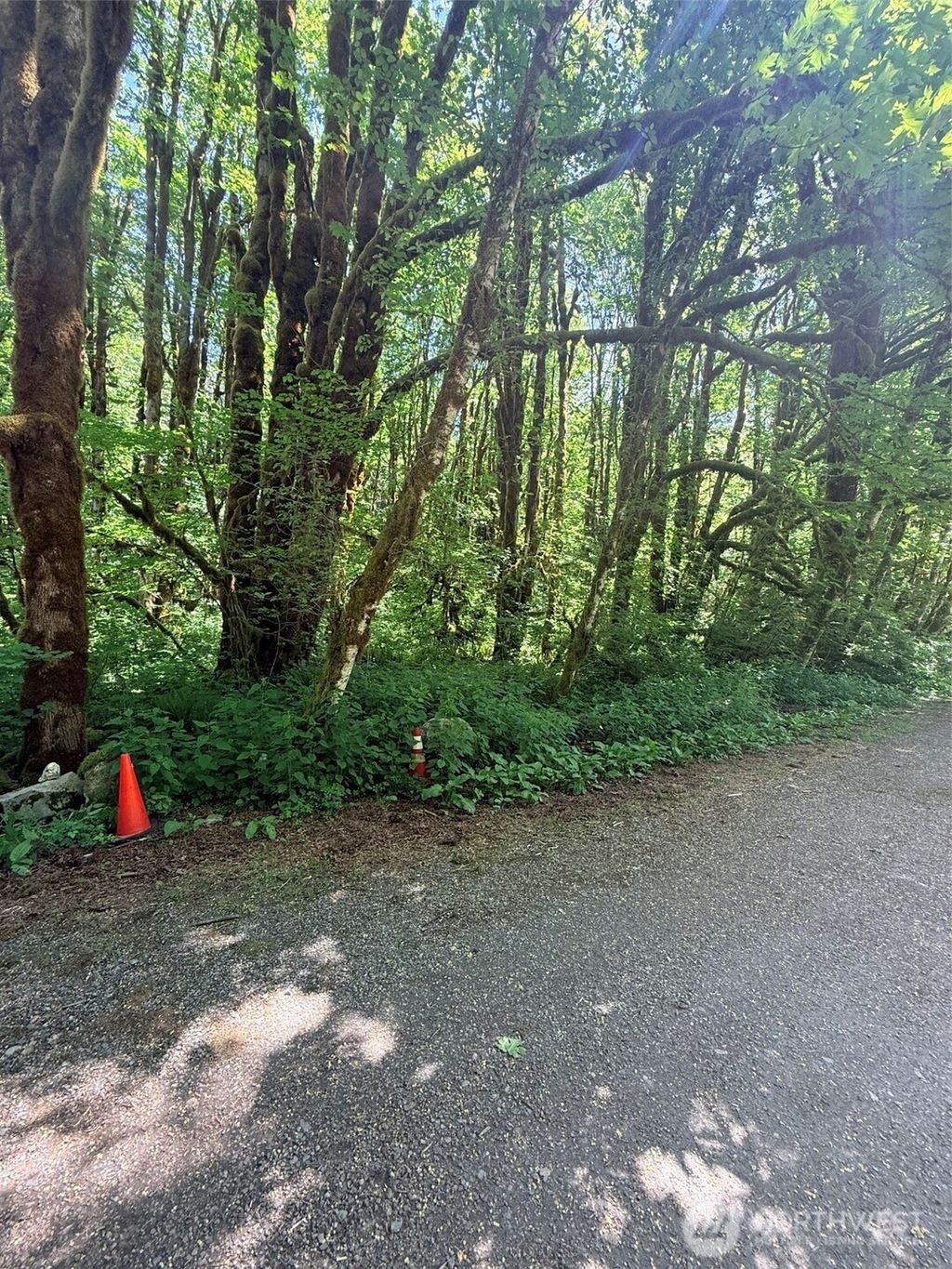 Photo of 10204 Foss River Place NE, Skykomish, WA 98288 (MLS # 2530255)