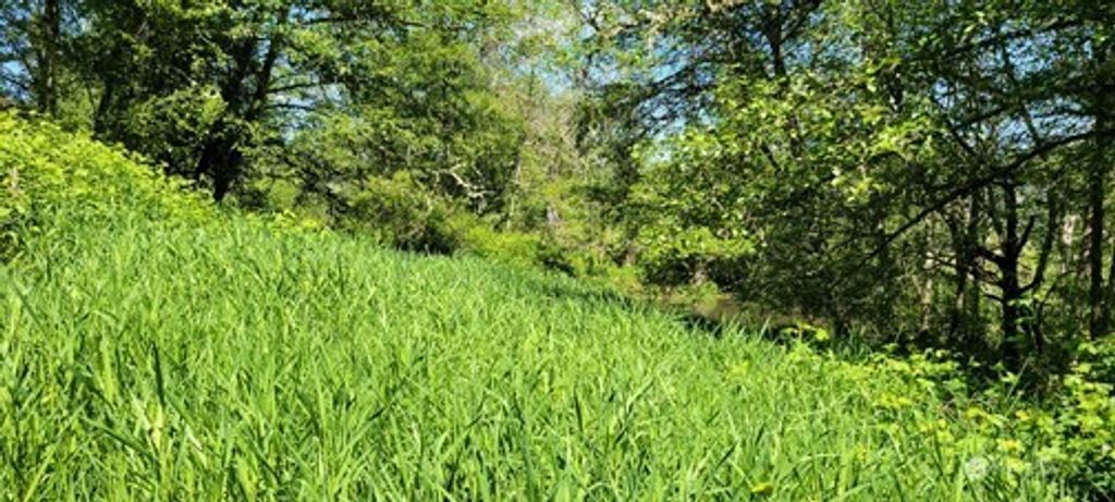 Photo of 825 99th Avenue SE, Lake Stevens, WA 98258 (MLS # 2506016)