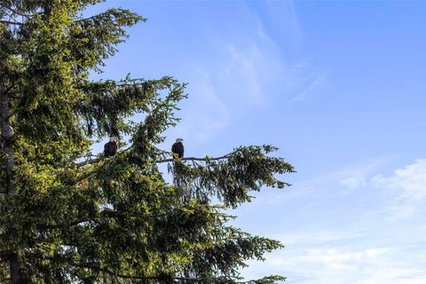 A home in Port Orchard