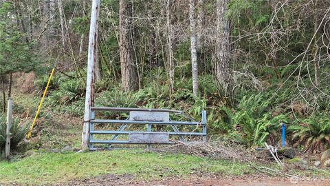 Photo of 0 Kautz Place, Ashford, WA 98304 (MLS # 2458843)
