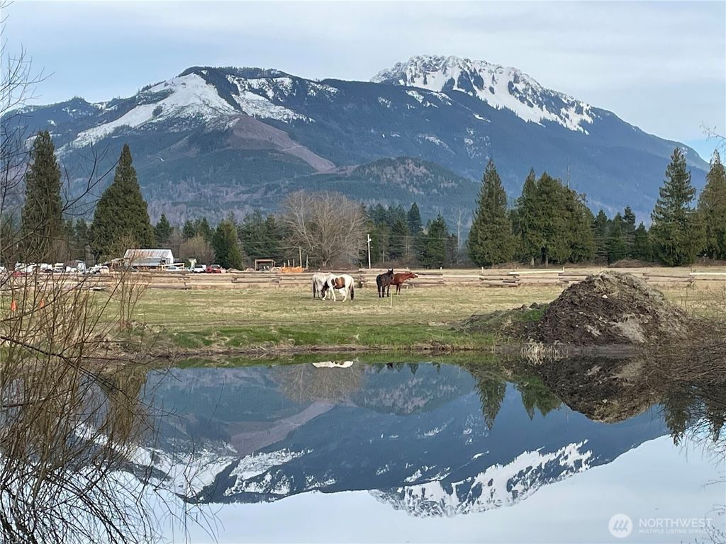 Photo of 46003 Concrete Sauk Valley Road, Concrete, WA 98237 (MLS # 2508599)