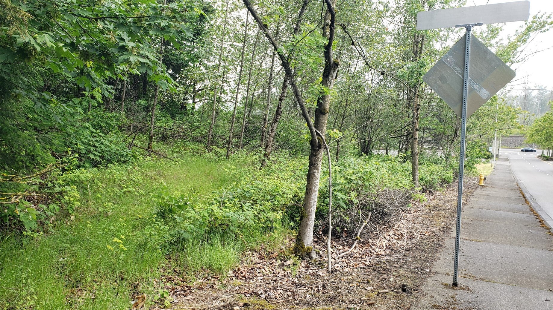 161 Lakeland Hills Way