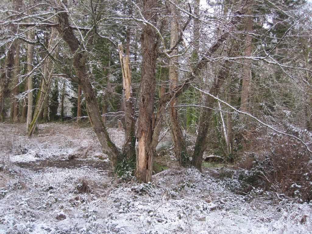 Photo of 35750 Military Road S, Auburn, WA 98001 (MLS # 2329169)