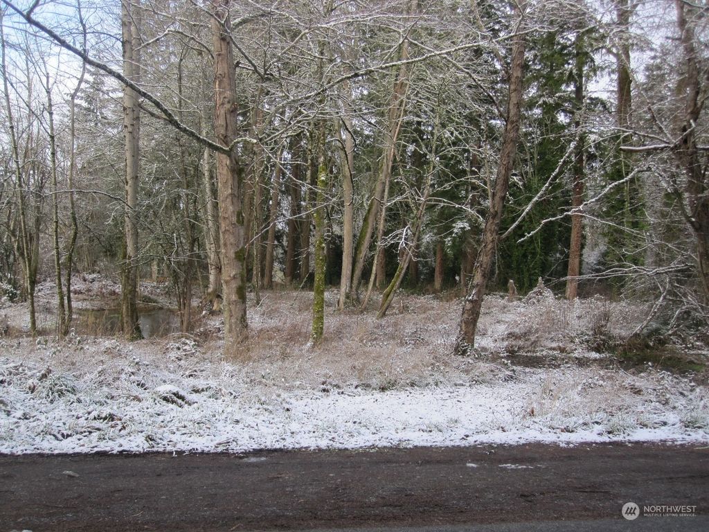 Photo of 35750 Military Road S, Auburn, WA 98001 (MLS # 2329169)
