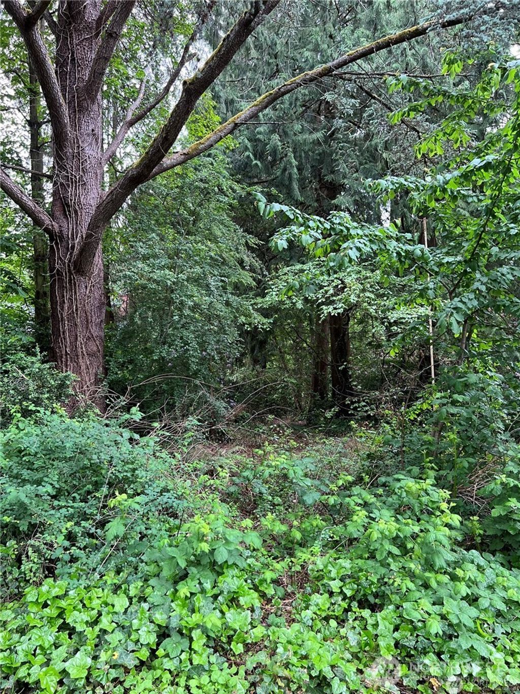 Photo of 192 xx Lago Place, Lake Forest Park, WA 98155 (MLS # 2343292)