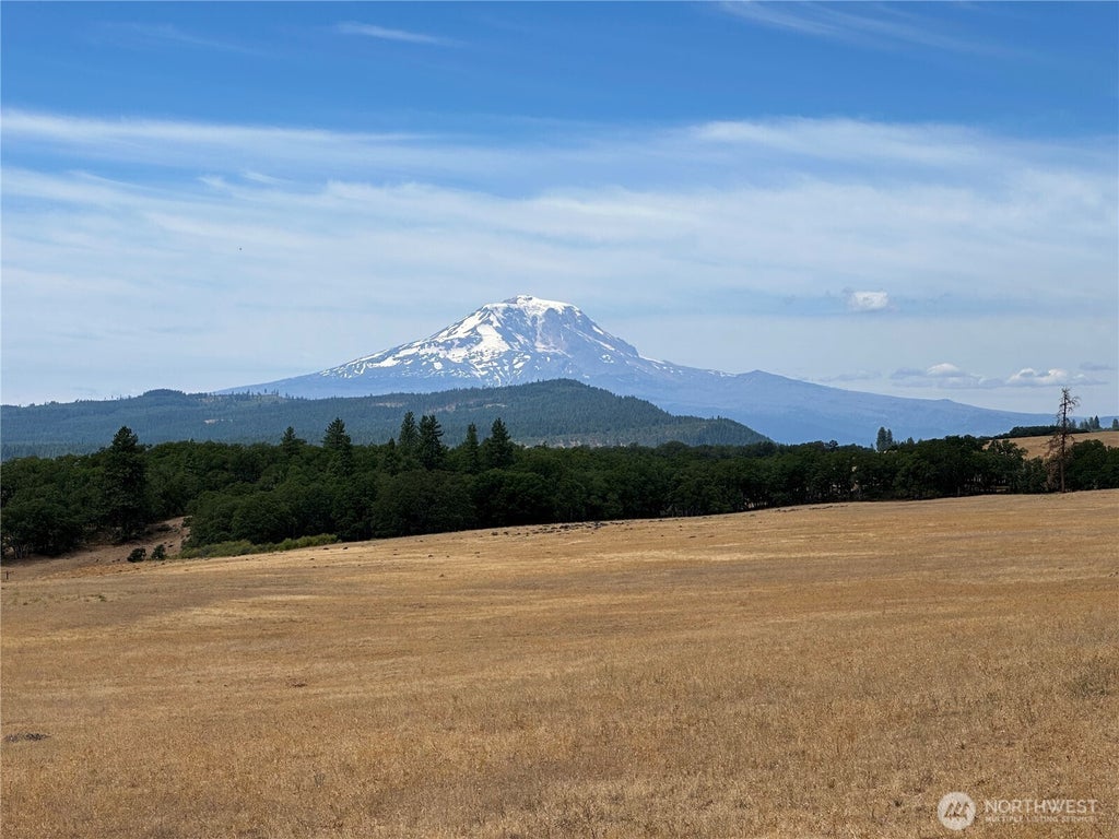 Photo of 0 Lot 27 Greyback Mt Road, Goldendale, WA 98620 (MLS # 2588204)