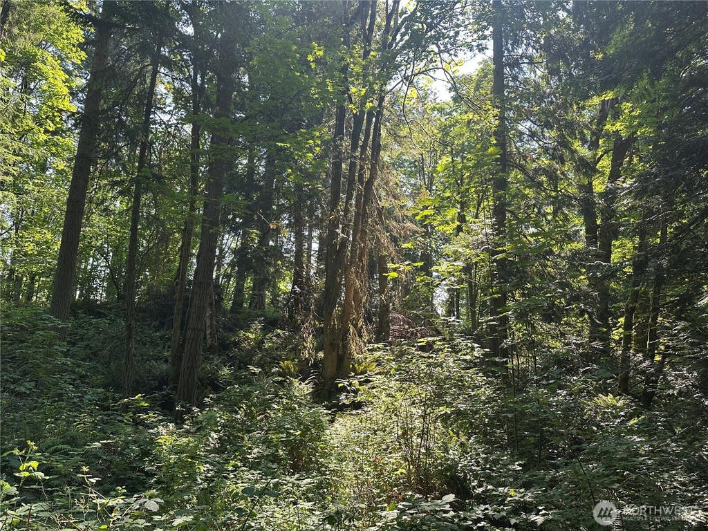 Photo of 17 Shore Drive NE, Indianola, WA 98342 (MLS # 2557441)