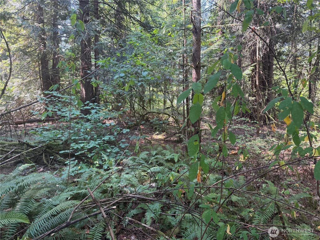 Photo of 11000 226th Avenue E, Buckley, WA 98321 (MLS # 2571923)