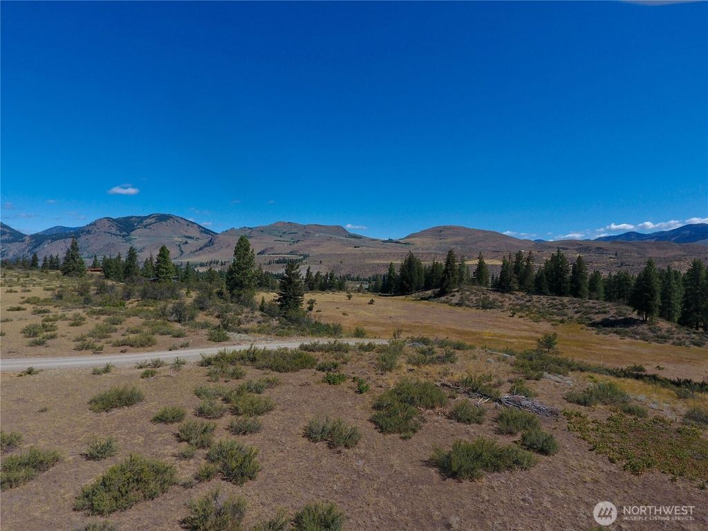 Photo of 1 Perrow Drive, Winthrop, WA 98862 (MLS # 2478760)