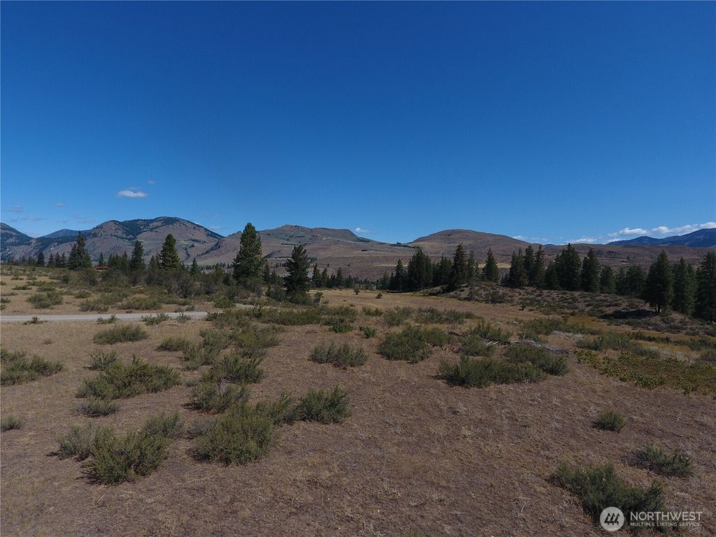 Photo of 1 Perrow Drive, Winthrop, WA 98862 (MLS # 2478760)