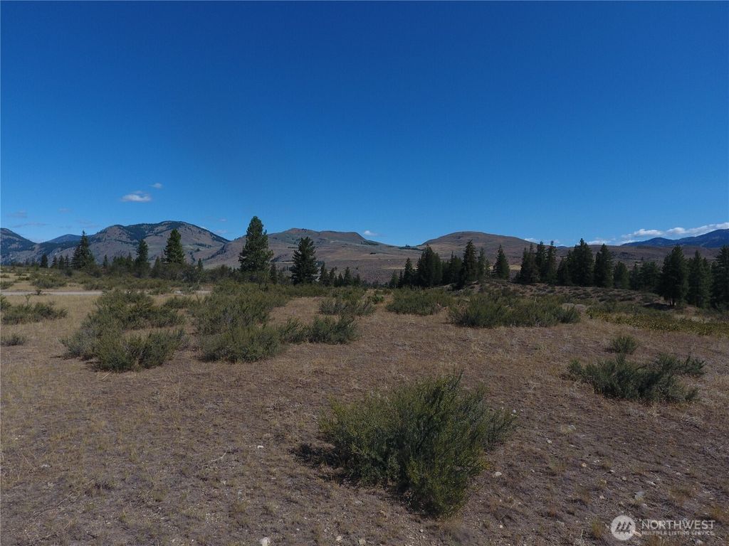 Photo of 1 Perrow Drive, Winthrop, WA 98862 (MLS # 2478760)