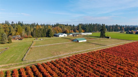 Photo of 8848 Stein Road, Custer, WA 98240 (MLS # 2595582)