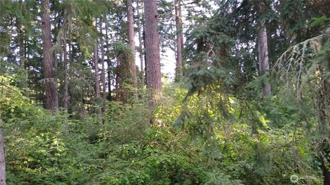 Photo of 12106 Sound Drive, Anderson Island, WA 98303 (MLS # 2457801)