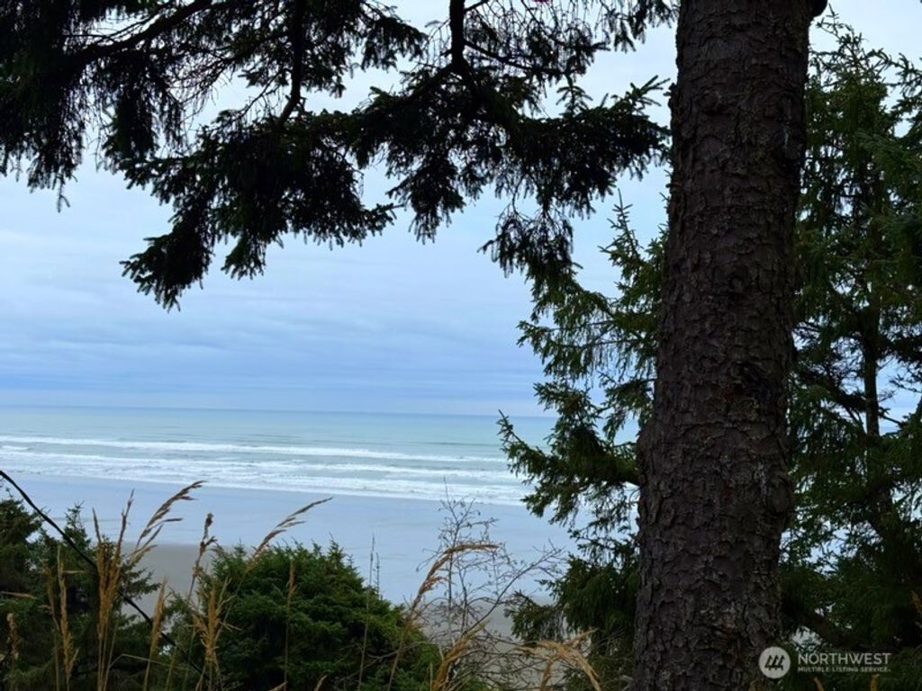 Photo of 4659 State Route 109, Moclips, WA 98562 (MLS # 2457600)