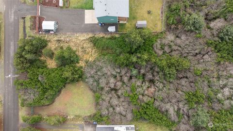 163 Sand Dune Avenue NW Ocean Shores WA 98569