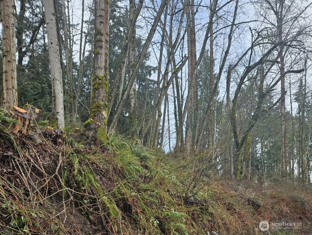 Photo of 37301 2nd Avenue SW, Federal Way, WA 98023 (MLS # 2418954)